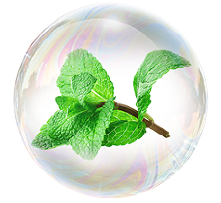 Field Mint Extract
