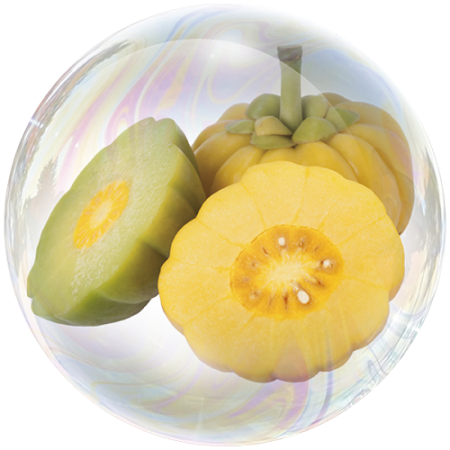 Garcinia (Garcinia cambogia)**